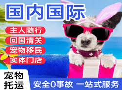 丹霞航空快运国际宠物托运 【国